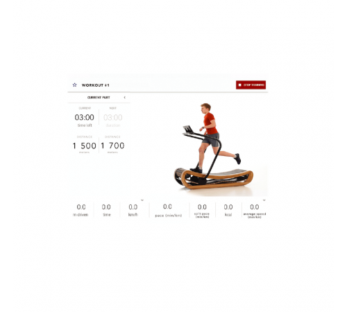 Беговая дорожка NOHrD Sprintbok