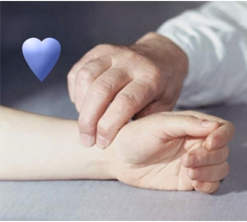 Беговая дорожка OXYGEN FITNESS NEW CLASSIC ARGENTUM LCD