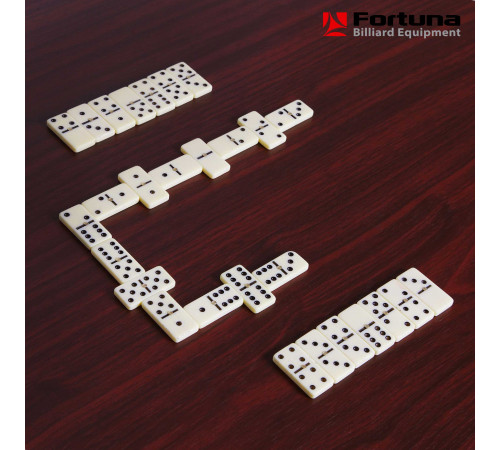 Бильярдный стол Fortuna Снукер 6фт 9 в 1 с комплектом аксессуаров