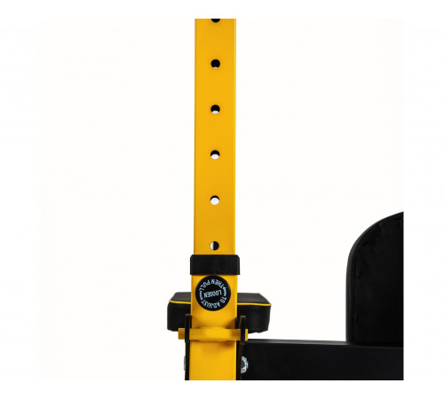 Турник-брусья DFC Power Tower G009C