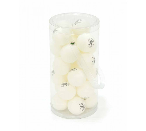 Мячи Dragon Training Silver 1* New (24 шт, бел.) в тубусе