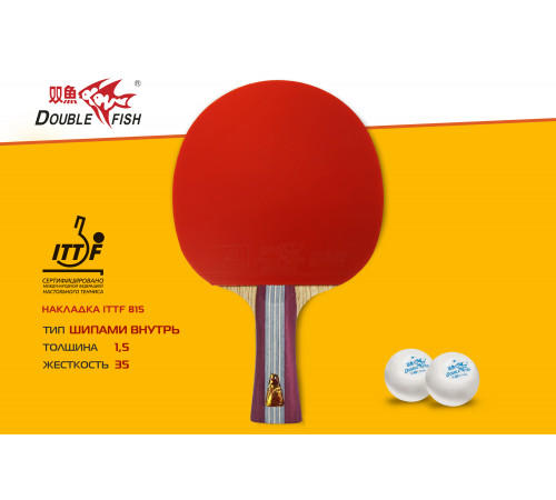 Ракетка для н/т Double Fish (1A+C серия)